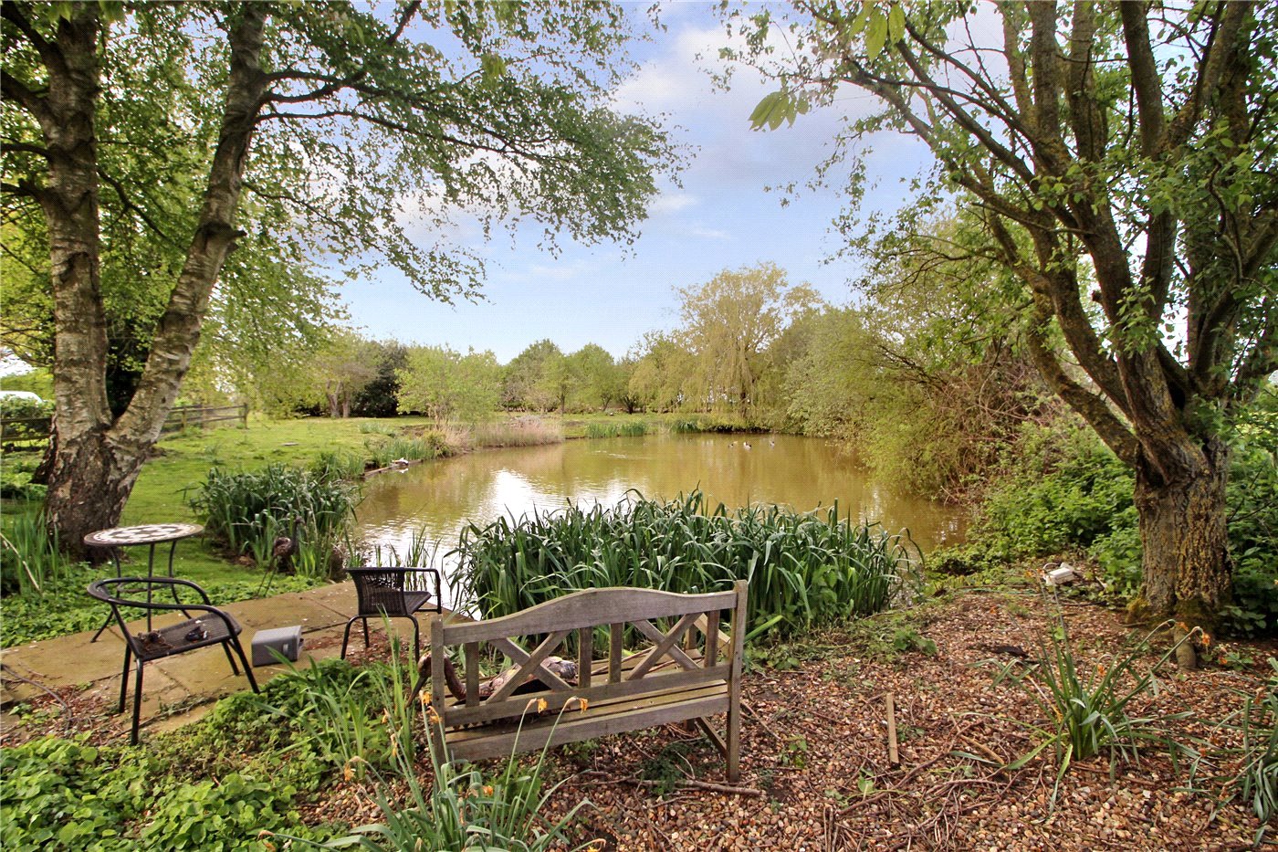Grounds